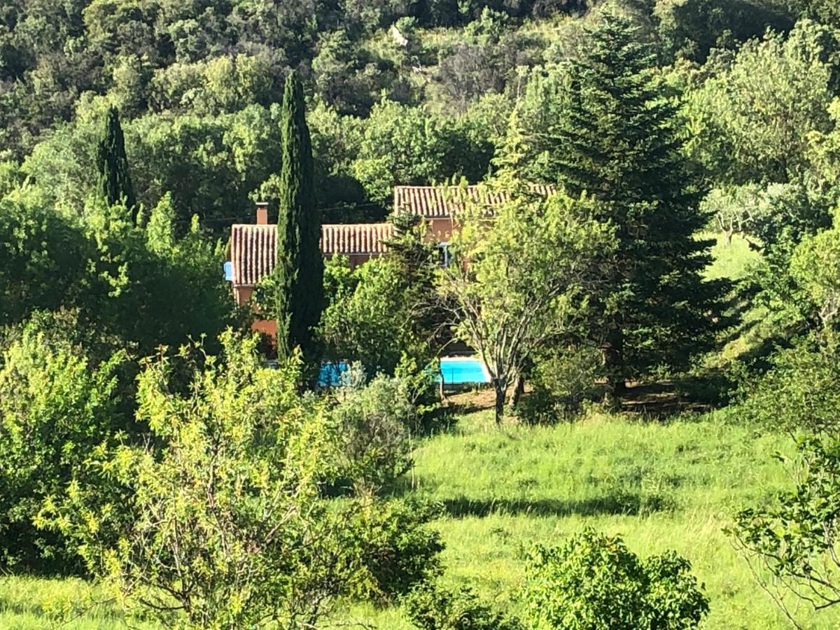 Le Mas Cevenol Villa Saint-Hilaire-de-Brethmas Exterior foto